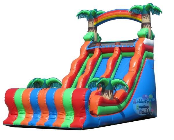 Giant Tropical Slide (Dry)(TSSA) Giant Tropical Slide (Dry)(TSSA)
